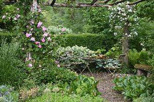 Garten Herrenmühle im Juni